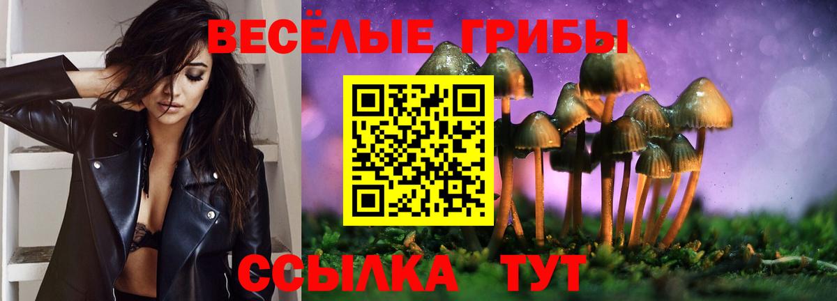 что такое наркотик  Вход с VPN  Бийск  Псилоцибиновые грибы GOLDEN TEACHER 