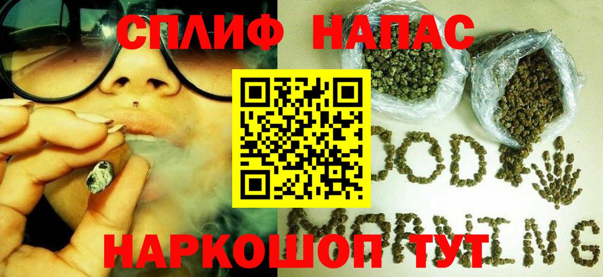 Конопля гибрид Бийск